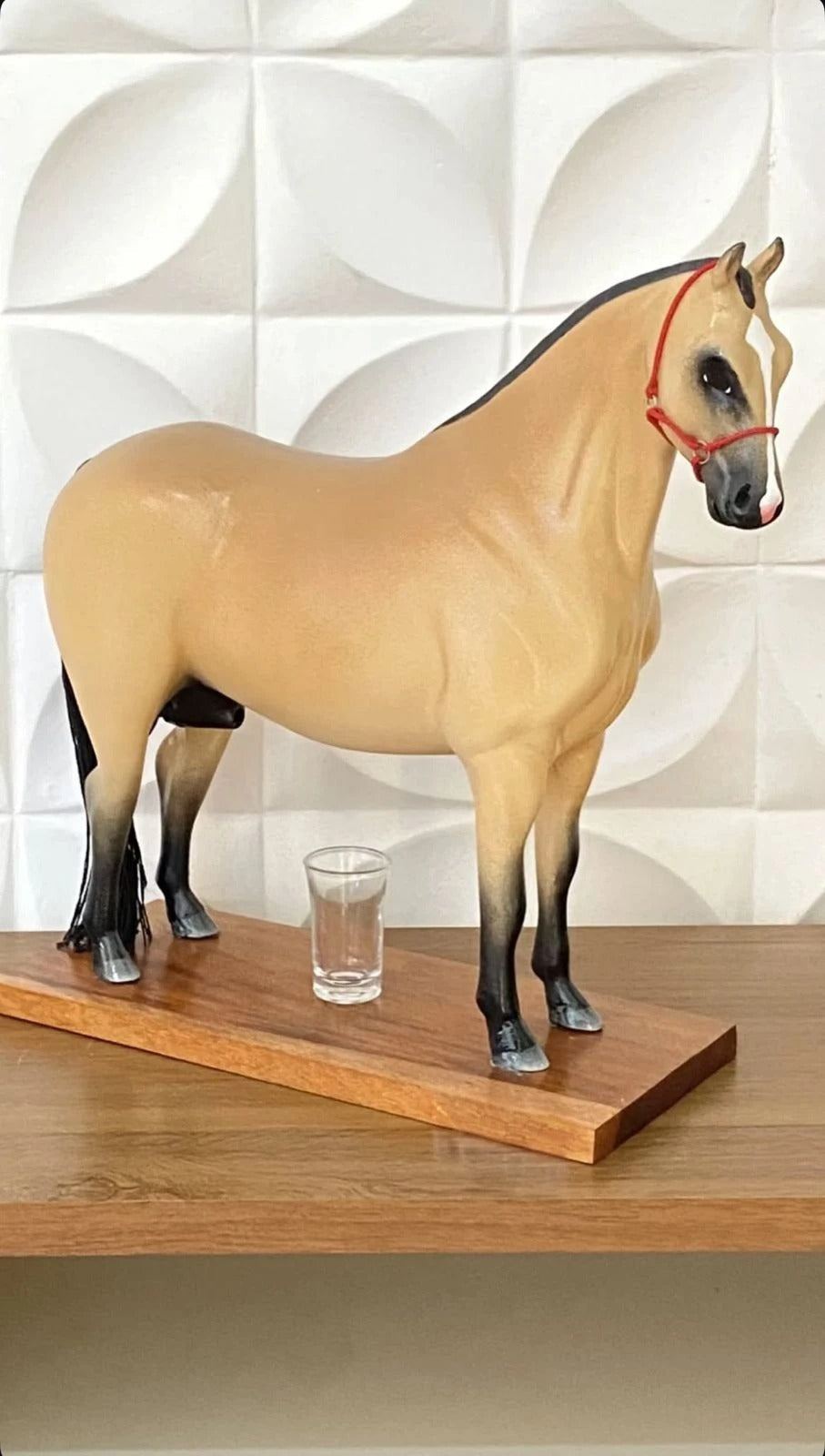 Cavalo Corote Quarto de Milha 2L